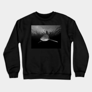 Approaching Oceanic White Tip Shark Crewneck Sweatshirt